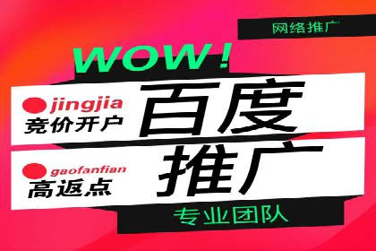 包年推广新篇章：百度竞价的多维度应用案例